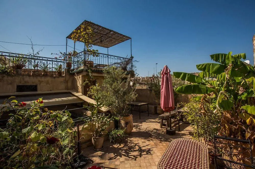 Dar Tamo Hotel Fes Riad