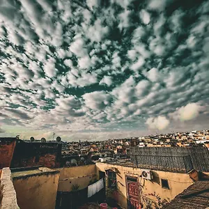 Rasia Riad